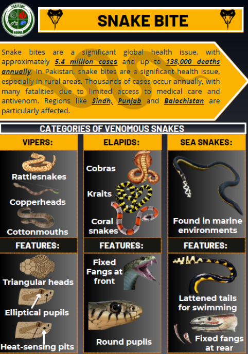 Snake Bite Guideline