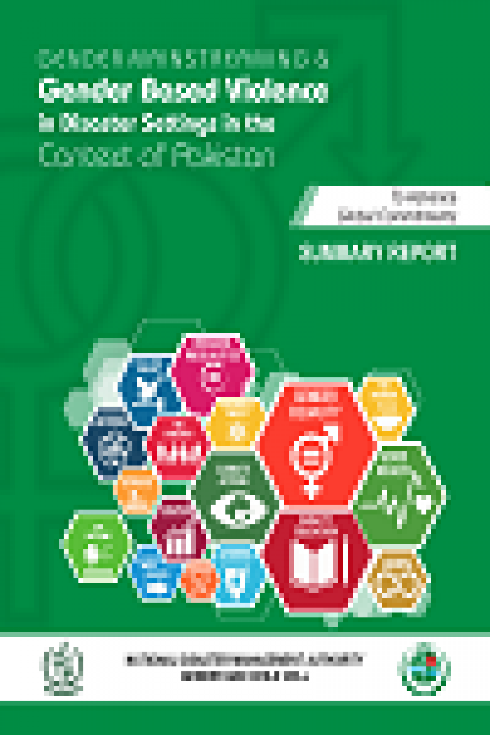 Gender Mainstreaming and Gender Based Violence in Disaster Settings in the Context of Pakistan (2017)
