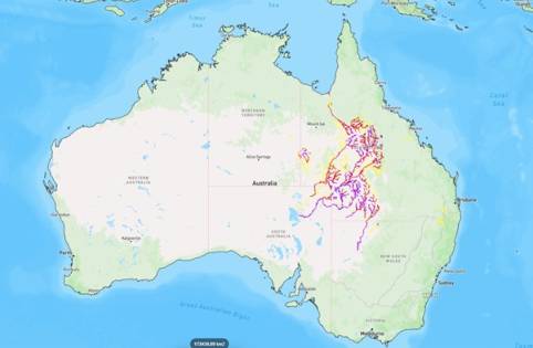 Flash Flood Queensland Australia