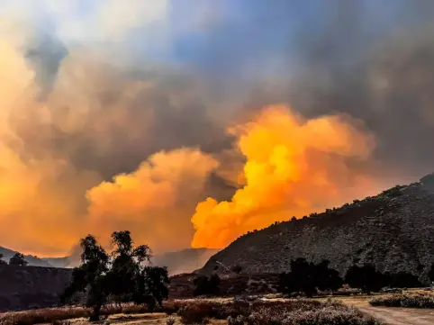 Wild Fire California