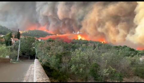 Wild Fire France