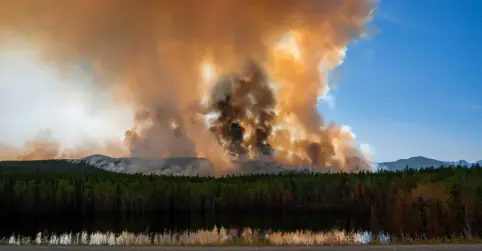 Wildfire Dollar Lake US